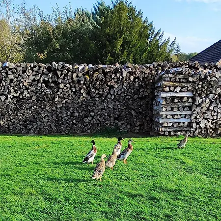 Du De La Foret D'orient - 6 Personnes - Avec Vue Sur Le 別荘 *